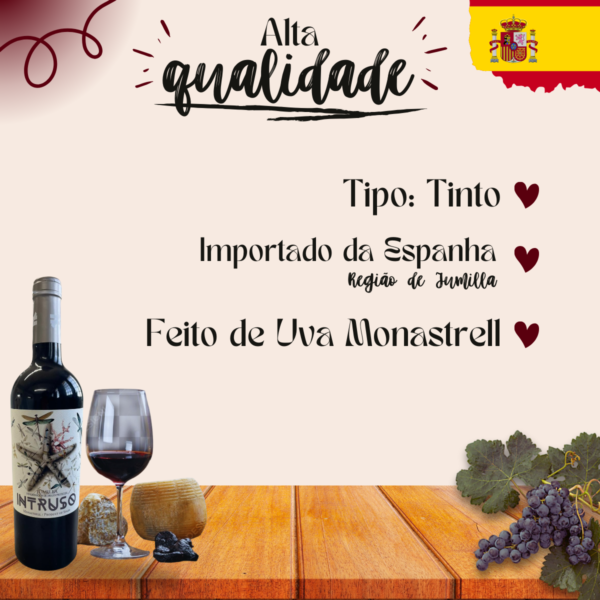 Vinho Tinto Monastrell Espanhol - 750ml - Imagem 3