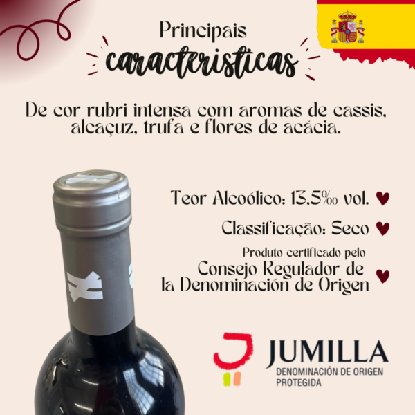 Vinho Tinto Monastrell Espanhol - 750ml - Imagem 2